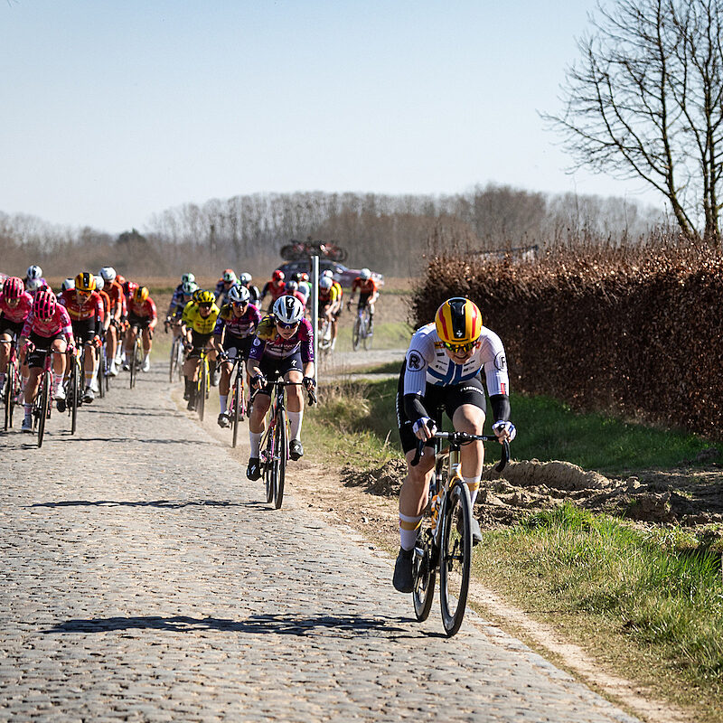 20250319 1343 Nokere Koerse Leonvan Bon 114 A7026